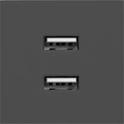 Picture of Orno NOEN USB x 2, podwójny port moduowy 45x45mm z adowark USB, 2,1A 5V DC, czarny
