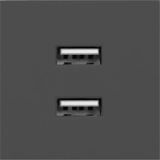 Picture of Orno NOEN USB x 2, podwójny port moduowy 45x45mm z adowark USB, 2,1A 5V DC, czarny