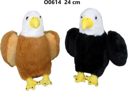 Picture of Orze 24cm MIX