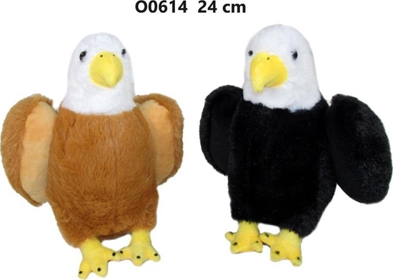 Picture of Orze 24cm MIX