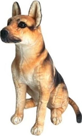 Picture of Owczarek niemiecki siedzcy 65cm