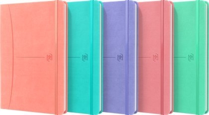 Изображение Oxford Notatnik Oxford Signature A5/80k linia mix kolorów