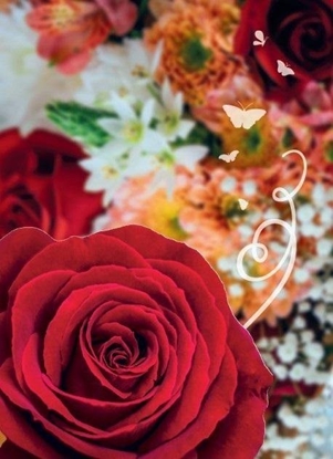 Attēls no Pan Dragon Karnet B6 Uniwersalny