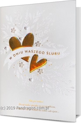 Picture of Pan Dragon Kartki karnet B6 HM 200-1821 lub