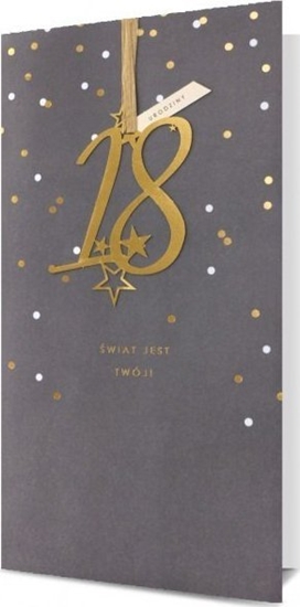 Picture of Pan Dragon Kartki karnet HM 100-1099 18 Urodziny