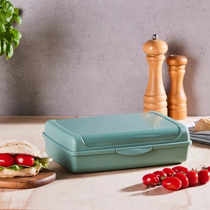 Изображение Partikas uzglabasanas trauks click-box maxi 3 7L Luca 30x20x8 5cm zals 4052396081398