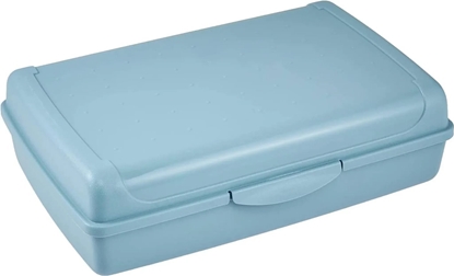 Изображение Partikas uzglabasanas trauks click-box maxi 3 7L Luca 30x20x8 5cm zils 4052396081428