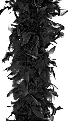 Изображение Party Deco Szal boa czarny, 180 cm uniwersalny