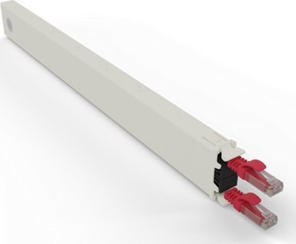 Picture of PATCHBOX CONEX8UTPRD kabel sieciowy Czerwony 0,8 m Cat6a U/UTP (UTP)