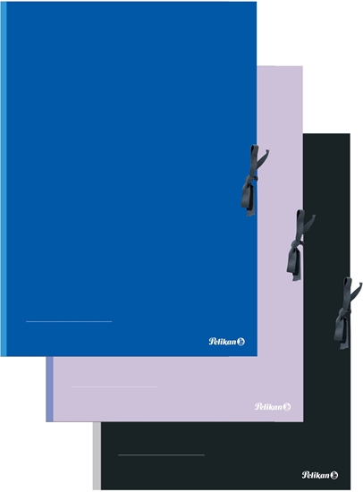 Picture of Pelikan Folder A2 kolorowy sortowany FSC