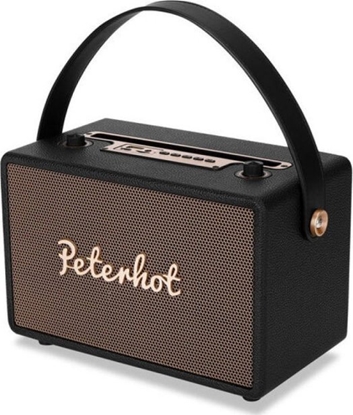 Picture of Peterhot A105 Portable Speaker / Karaoke system Bluetooth / USB / SD Card / AUX