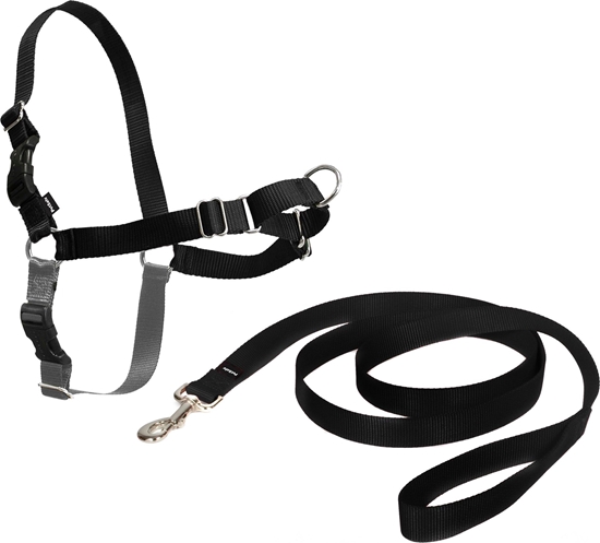 Picture of PetSafe Petsafe Easy Walk® Harness XL juodos petneos lengvam pasivaikiojimui (apimtis 86-117cm)