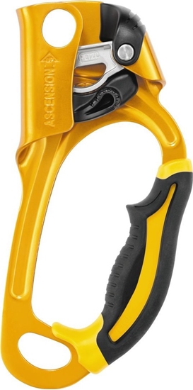 Picture of Petzl Petzl ASCENSION ye - do not describe!