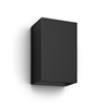 Изображение Philips Hue WCA Resonate Outdoor Wall Lantern, Black | 8 W | 2000-6500 Hue White Colour Ambiance