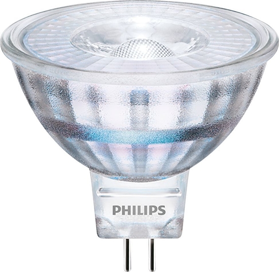 Изображение Philips Philips 8719514307629, 4.4 W, 35 W, GU5.3, 345 lm, 15000 h, Warm white