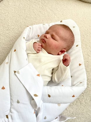 Picture of PIAPIMO-ROEK FORESTA LAS