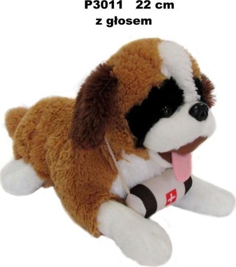 Picture of Pies bernardyn z gosem 22cm