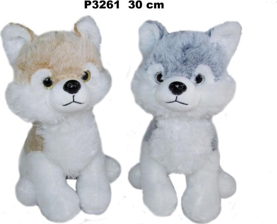 Picture of Pies husky 30cm MIX