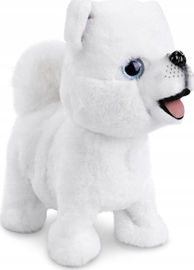 Picture of Piesek chodzcy na smyczy 169137