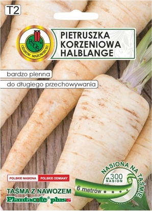 Attēls no Apte Pietruszka Póduga tama 6m Póna odmiana o wysokiej plennoci
