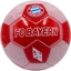 Attēls no PIKA NONA FC BAYERN MUNCHEN R.5