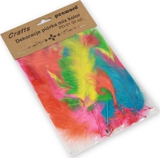 Изображение Titanum Piórka mix 10-15cm 50szt