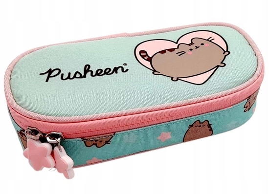 Изображение Piórnik Defort PIORNIK SASZ OWAL 1ZAM 1KLAP PUSHEEN MINT FOL