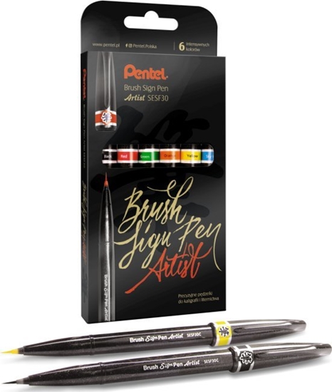 Picture of Pisak Brush Sign Pen Pentel SESF30C-ST6ABDFGS-PL