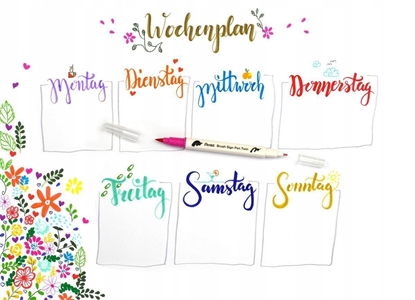 Picture of Pisak pdzelkowy Pentel Brush Sign Pen Twin SESW30