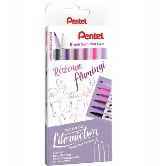 Picture of Pisaki pdzelkowe Pentel Brush Sign Pen Twin SESW3