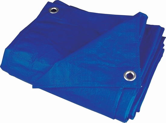 Изображение Plandeka Dedra 500 cm  x 400 cm 60 g/m2