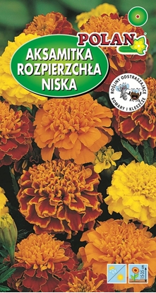 Attēls no PLATINET NASIONA AKSAMITKA ROZPIERZCHA MERIGOLD SEEDS 1 G