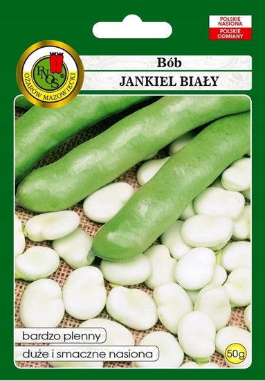 Picture of PNOS Nasiona warzyw | Bób Jankiel Biay | Opakowanie 50g