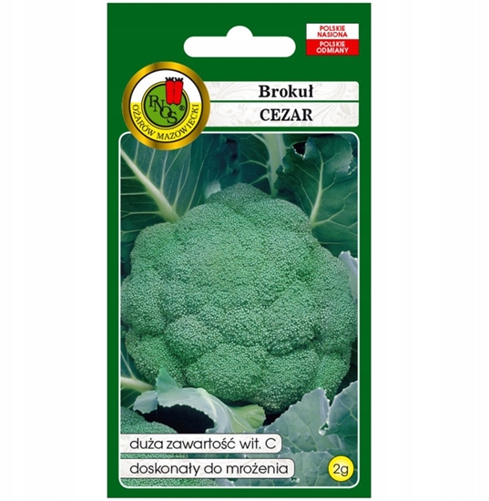 Picture of PNOS Nasiona warzyw | Broku Cezar | Opakowanie 2g