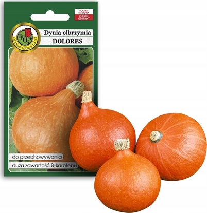 Attēls no PNOS Nasiona warzyw | Dynia Olbrzymia Dolores | Opakowanie 5g
