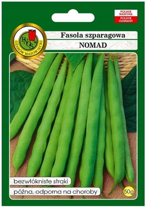 Picture of PNOS Nasiona warzyw | Fasola Szparagowa Zielona Karowa Nomad | Opakowanie 50g