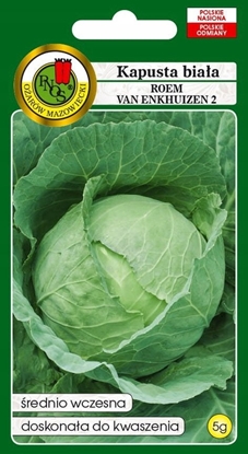 Attēls no PNOS Nasiona warzyw | Kapusta Gowiasta Biaa Roem Van Enkhuizen 2 | Opakowanie 2g