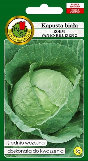 Picture of PNOS Nasiona warzyw | Kapusta Gowiasta Biaa Roem Van Enkhuizen 2 | Opakowanie 2g