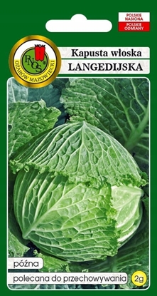 Attēls no PNOS Nasiona warzyw | Kapusta Woska Langedijska | Opakowanie 2g