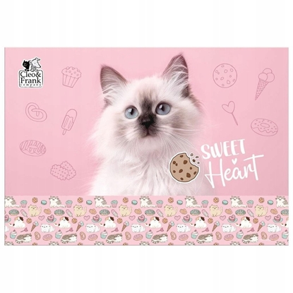 Picture of PODKLAD NA BIURKO KART OKLEJ 345X495CLEOFRANK 45