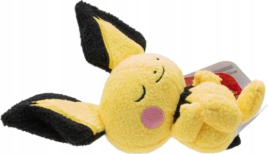 Picture of Pokemon POKEMON picy Pichu Seria 2, pluszak, 13 cm