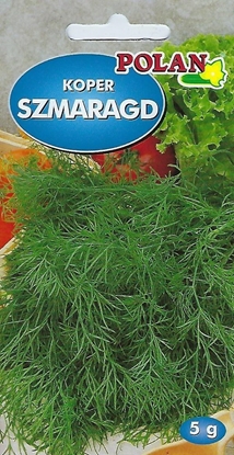 Picture of Polan Koper Ogrodowy Szmaragd Nasiona 5g Polan