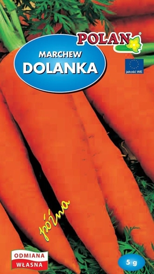 Picture of Polan Marchew Jadalna Dolanka Nasiona 5g Polan