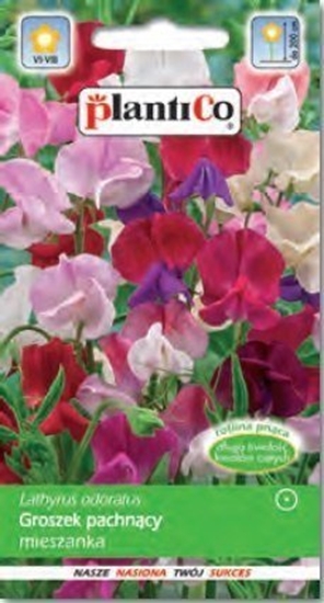 Picture of Polan PLATINET NASIONA GROSZEK PACHNCY SWEET PEA SEEDS 3 G