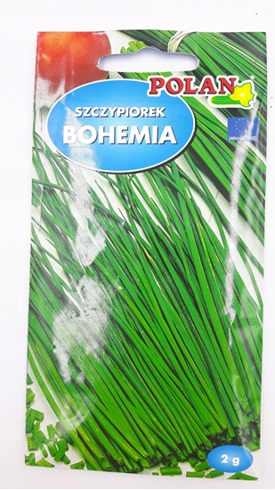 Picture of Polan PLATINET NASIONA SZCZYPIOREK OGRODOWY BOHEMIA CHIVE SEEDS 2 G
