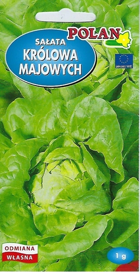 Picture of Polan Saata Masowa Królowa Majowych Nasiona 1g