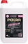 Attēls no Polar ANTIFREEZE POLAR G12EVO 5 L