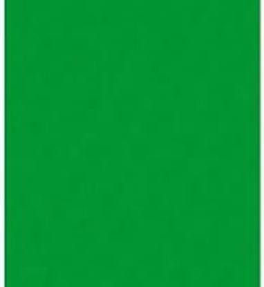 Attēls no Polsirhurt Filc dekoracyjny zielony 20x30 10szt.