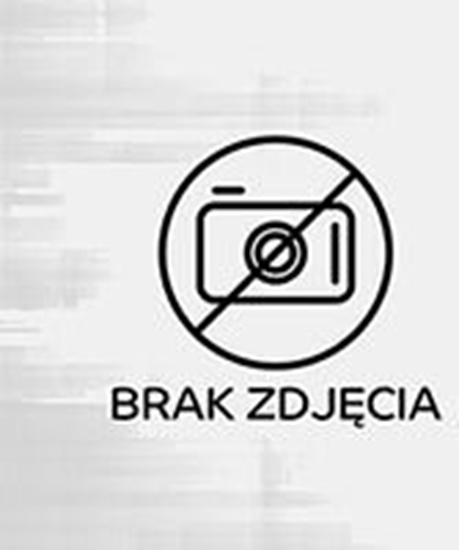 Picture of PROCERA Znak TDC, Strefa WI-FI