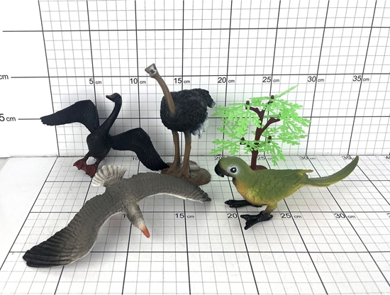 Picture of PTAKI 5 SZT. W FOLII